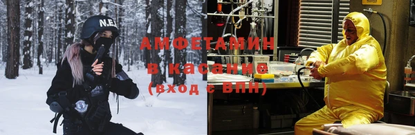 мет Арсеньев