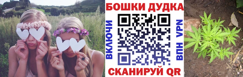 Каннабис MAZAR  Белая Холуница 